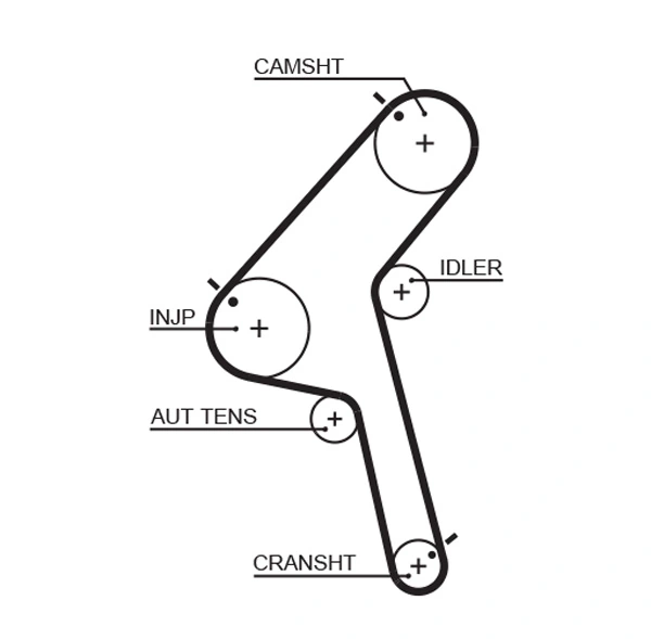 Timing Belt