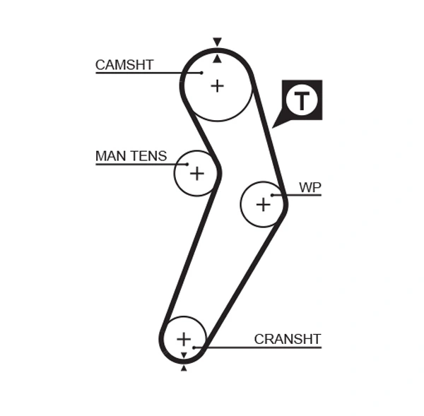 Timing Belt