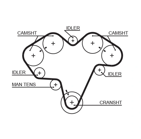 Timing Belt
