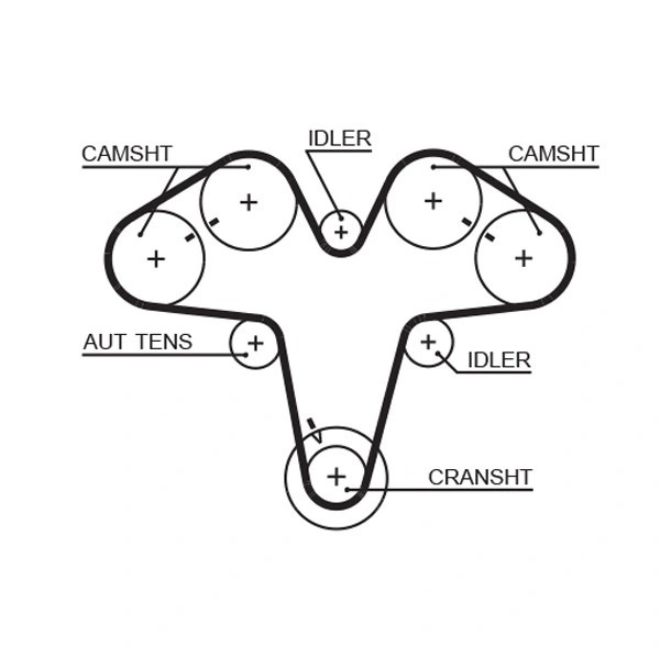 Timing Belt
