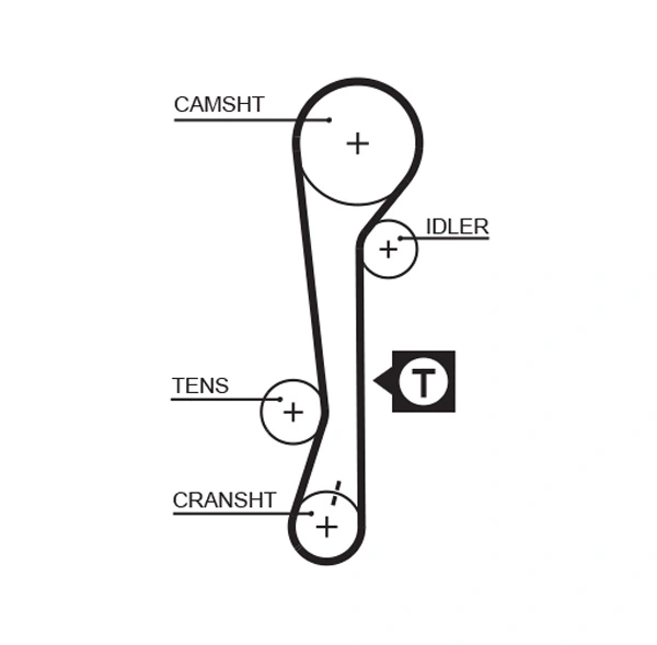 Timing Belt