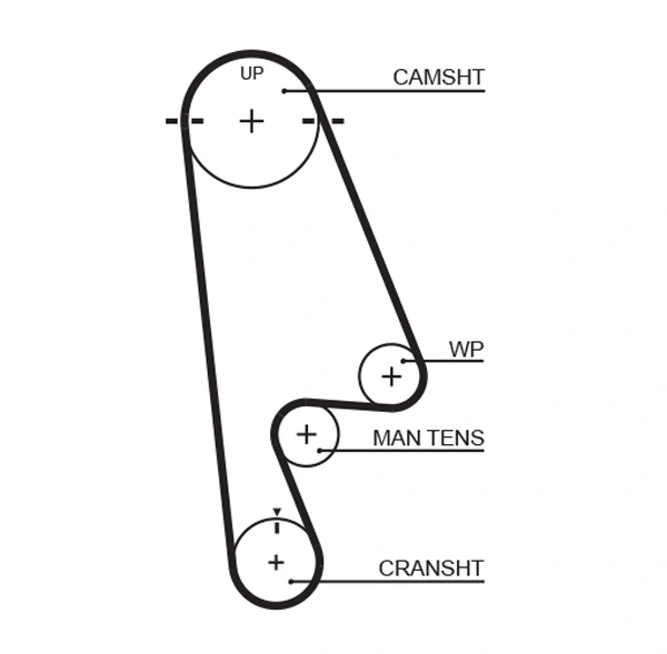 Timing Belt
