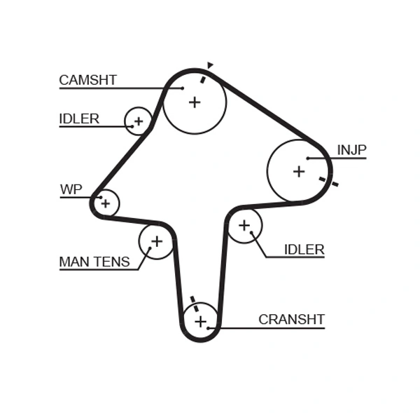 Timing Belt