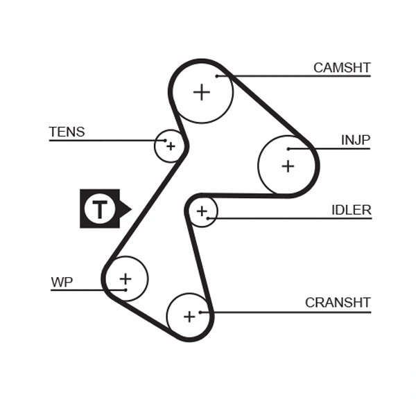 Timing Belt