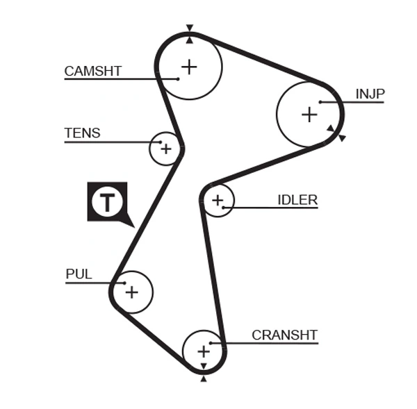 Timing Belt