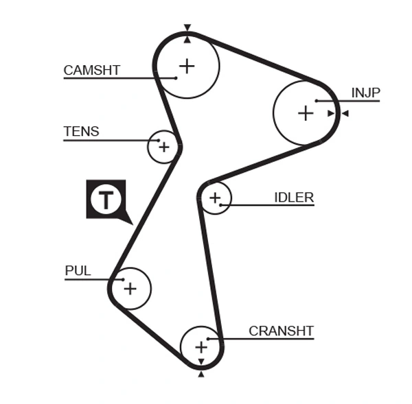 Timing Belt