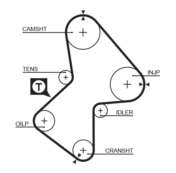Timing Belt