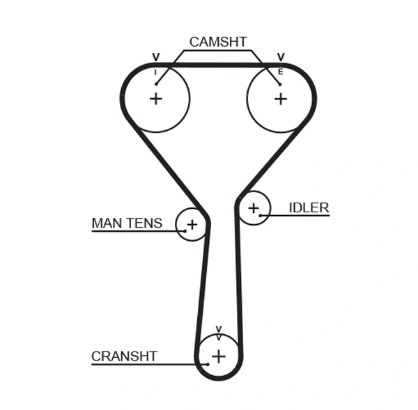 Timing Belt