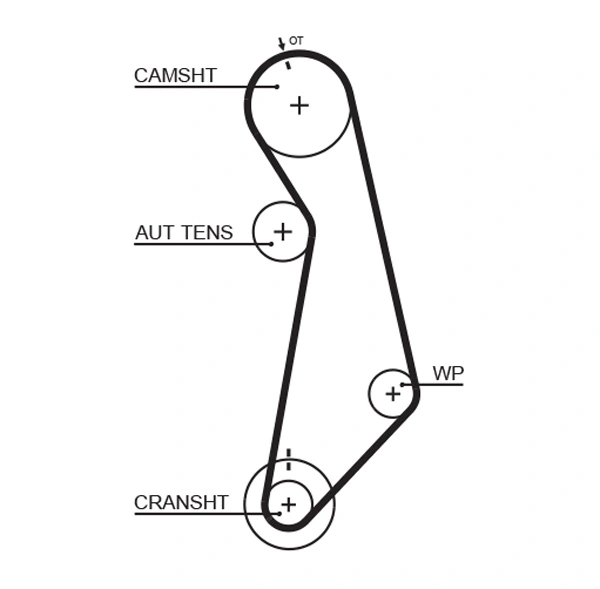 Timing Belt