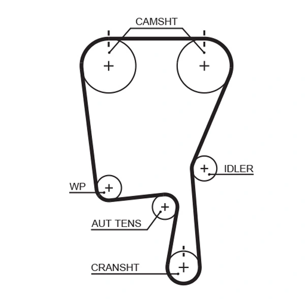 Timing Belt
