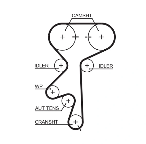 Timing Belt