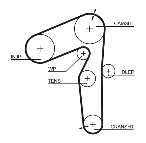 Timing Belt