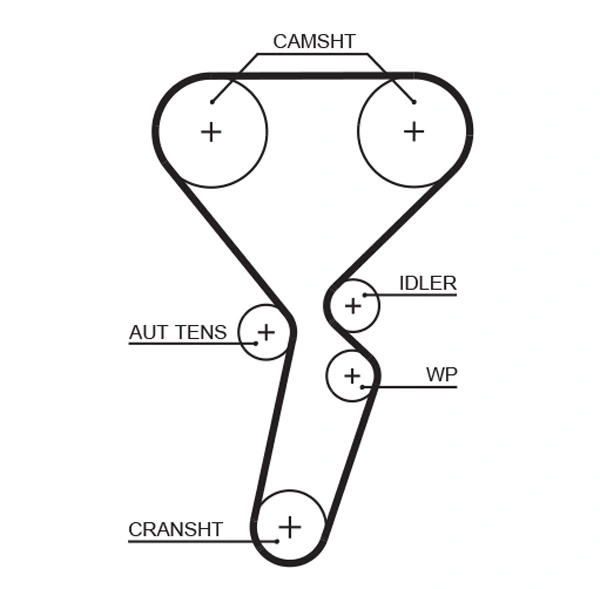 Timing Belt