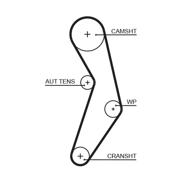 Timing Belt