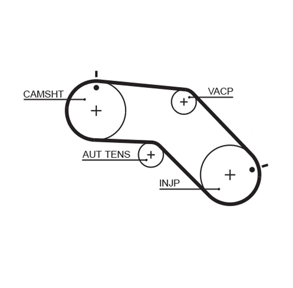 Timing Belt