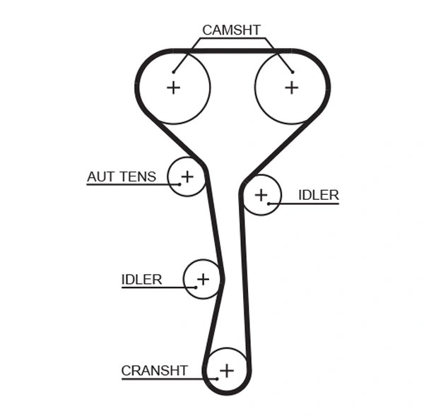 Timing Belt
