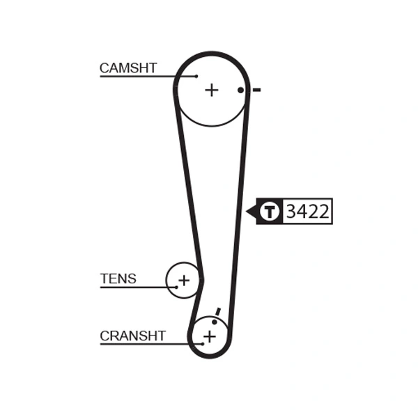 Timing Belt