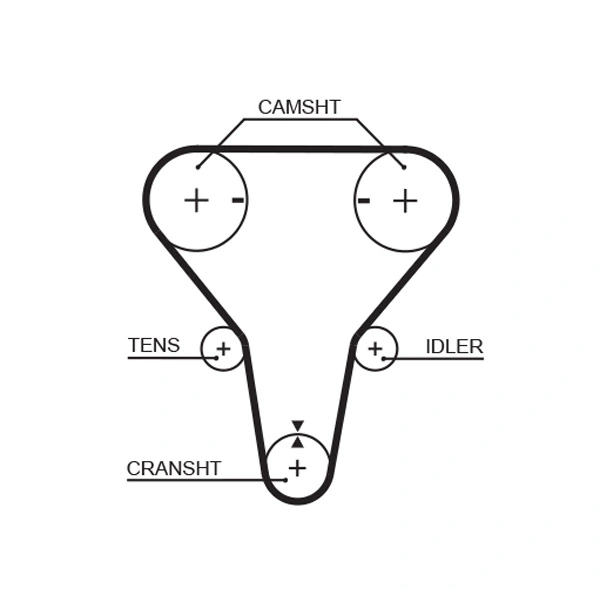 Timing Belt