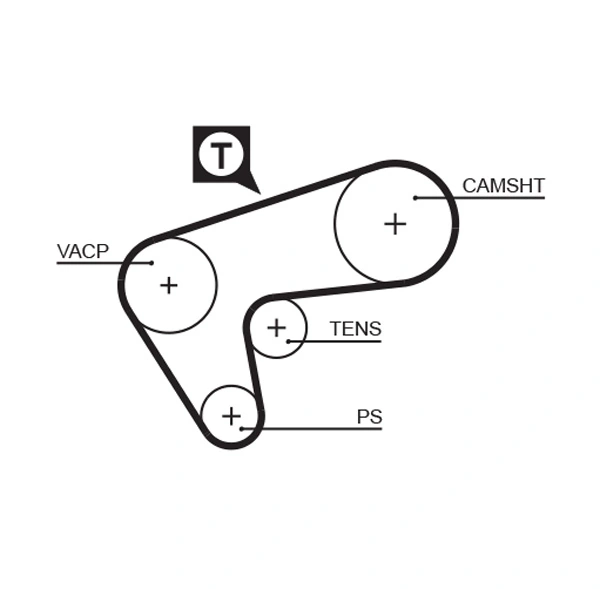 Timing Belt
