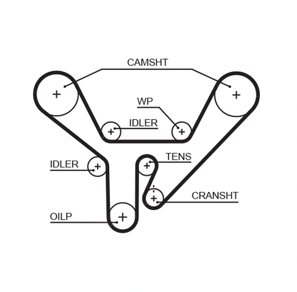 Timing Belt