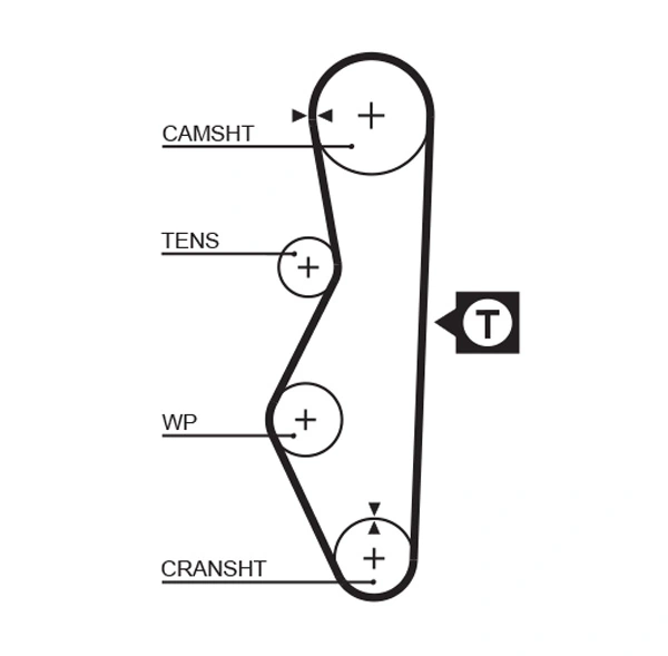 Timing Belt