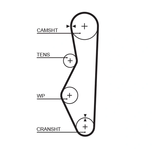 Timing Belt