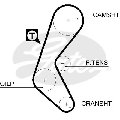 Timing Belt