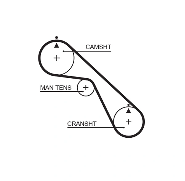 Timing Belt