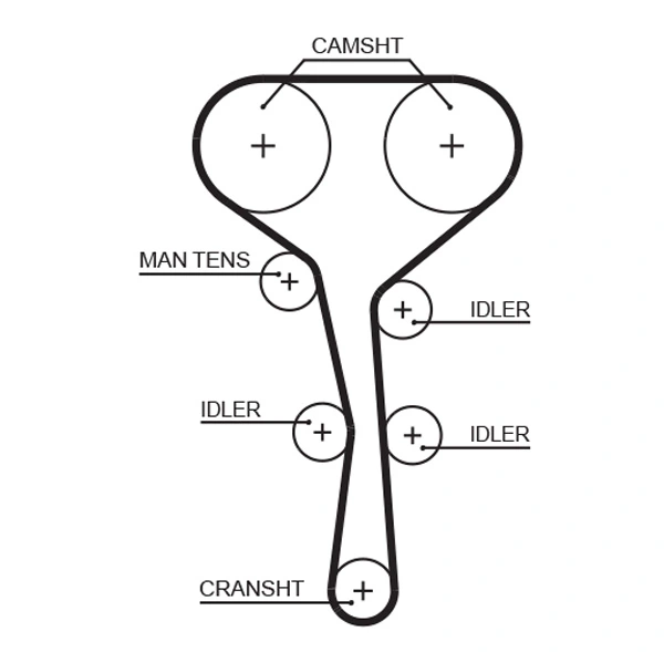 Timing Belt