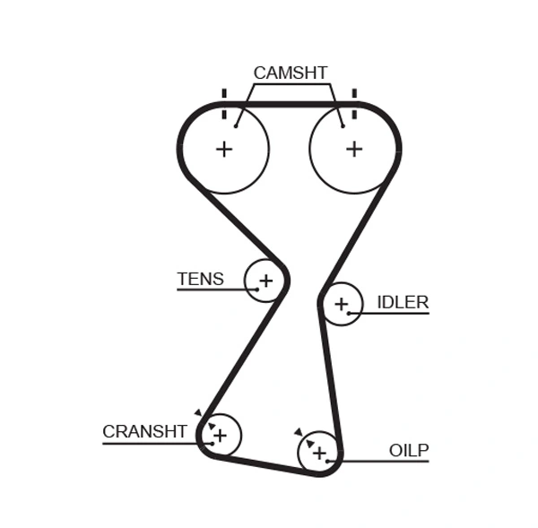 Timing Belt