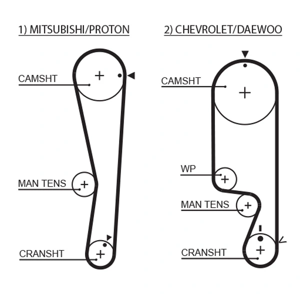 Timing Belt