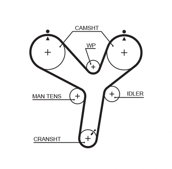 Timing Belt