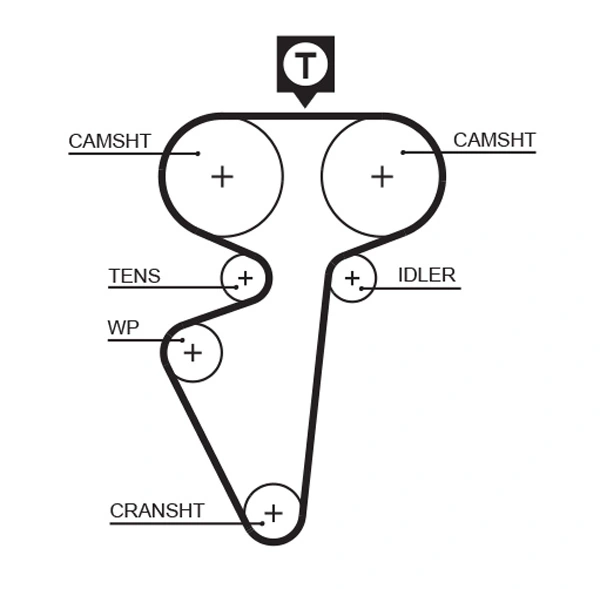 Timing Belt