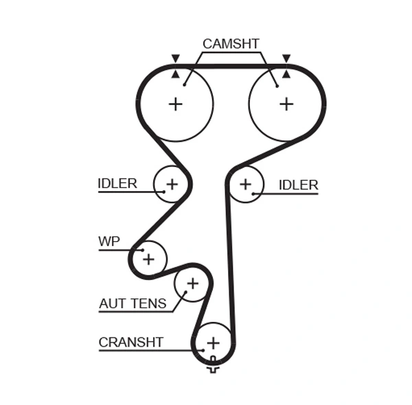 Timing Belt