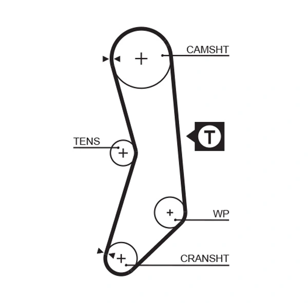 Timing Belt