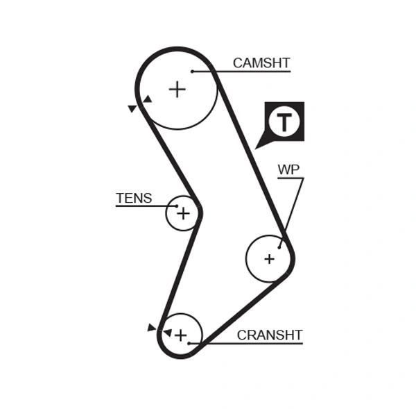 Timing Belt