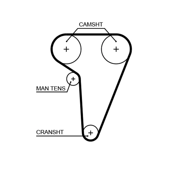 Timing Belt