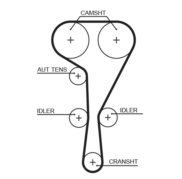 Timing Belt