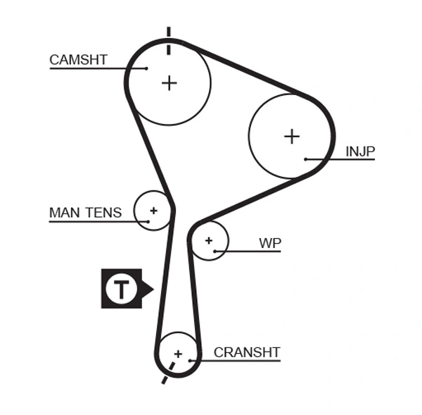 Timing Belt