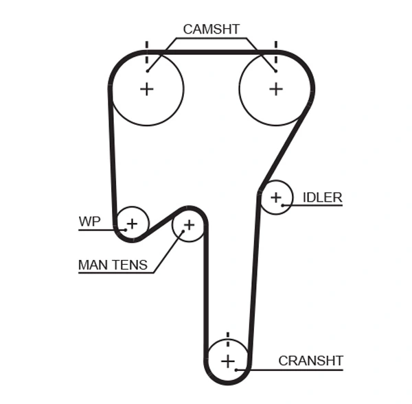 Timing Belt