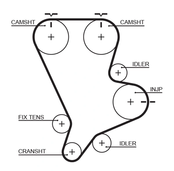 Timing Belt