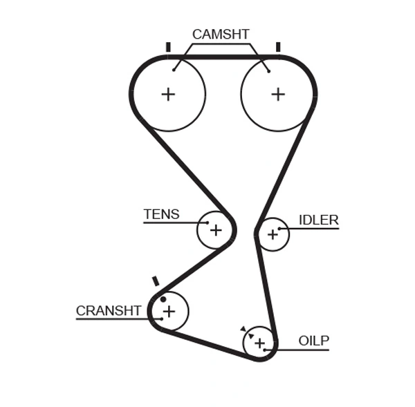 Timing Belt