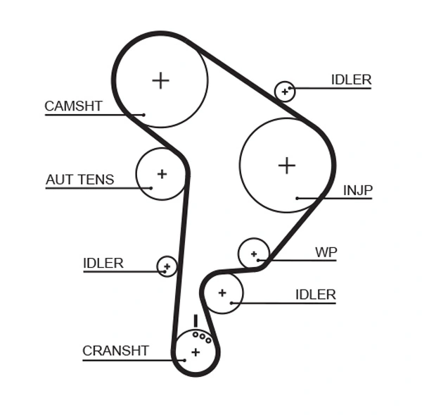Timing Belt