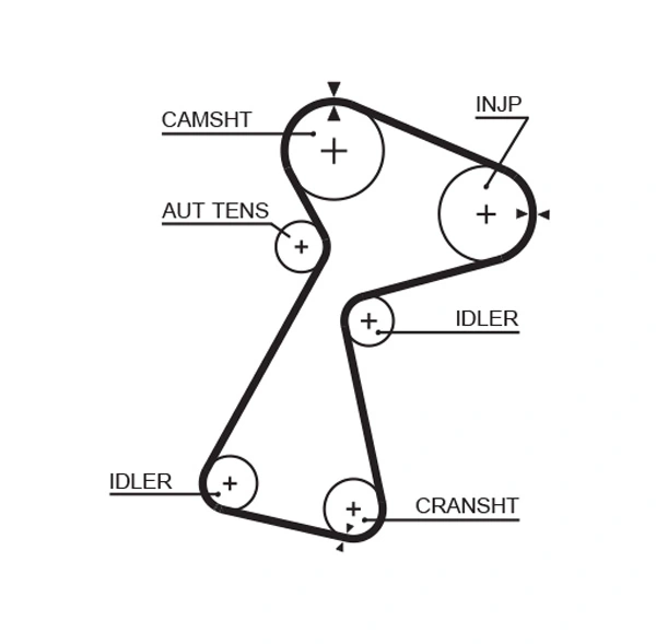 Timing Belt