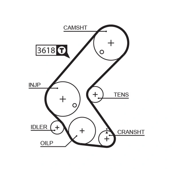 Timing Belt