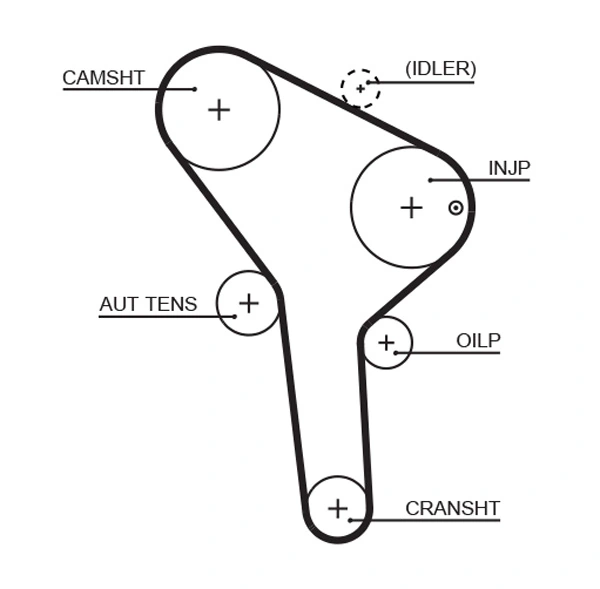 Timing Belt