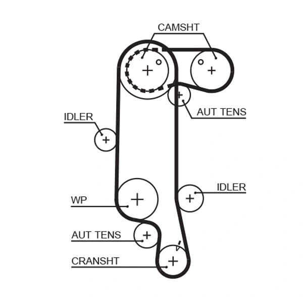 Timing Belt