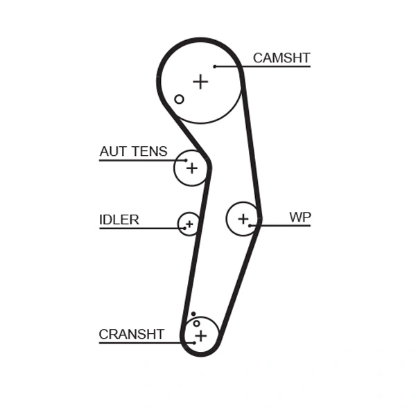 Timing Belt
