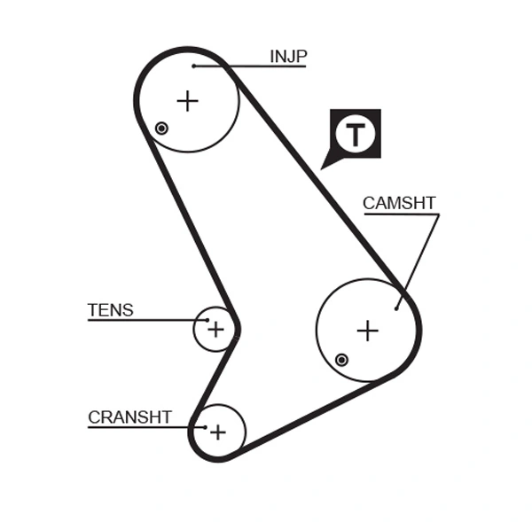 Timing Belt