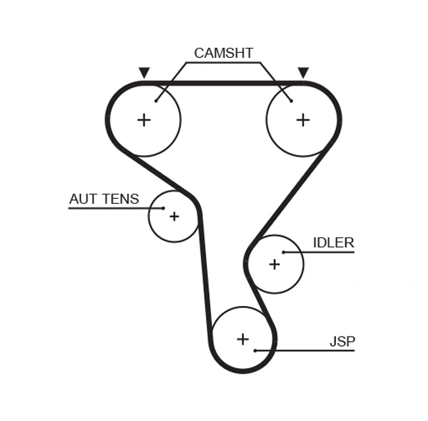 Timing Belt